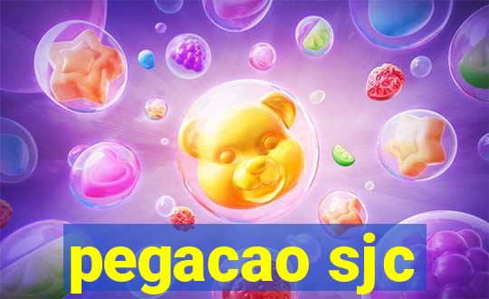 pegacao sjc